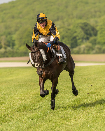 Race 6 - Open Maiden Race (50 of 180).jpg