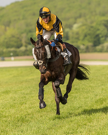Race 6 - Open Maiden Race (51 of 180).jpg