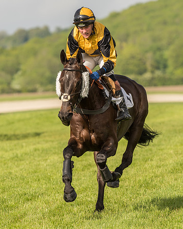 Race 6 - Open Maiden Race (52 of 180).jpg