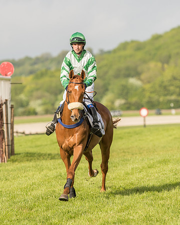 Race 6 - Open Maiden Race (53 of 180).jpg