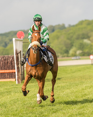 Race 6 - Open Maiden Race (54 of 180).jpg