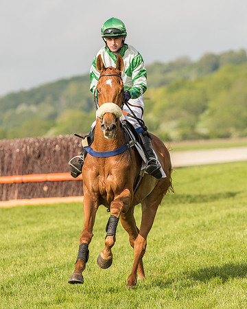 Race 6 - Open Maiden Race (55 of 180).jpg