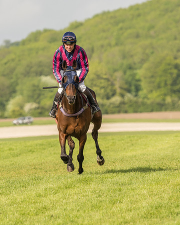 Race 6 - Open Maiden Race (56 of 180).jpg