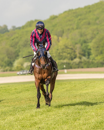 Race 6 - Open Maiden Race (57 of 180).jpg