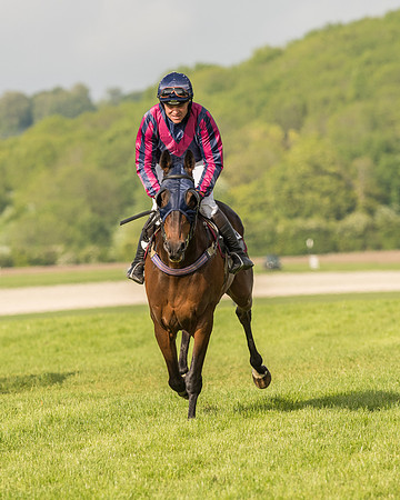 Race 6 - Open Maiden Race (58 of 180).jpg