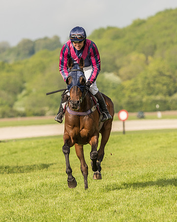 Race 6 - Open Maiden Race (59 of 180).jpg