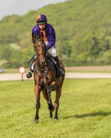 Race 6 - Open Maiden Race (60 of 180).jpg