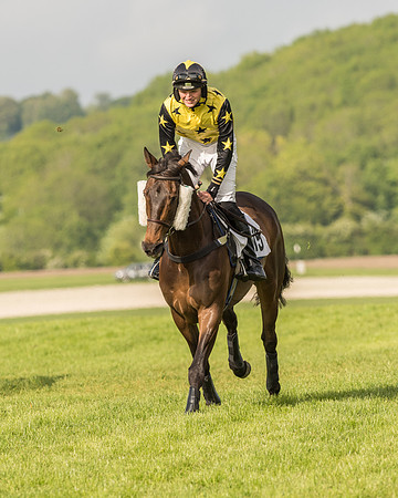 Race 6 - Open Maiden Race (64 of 180).jpg