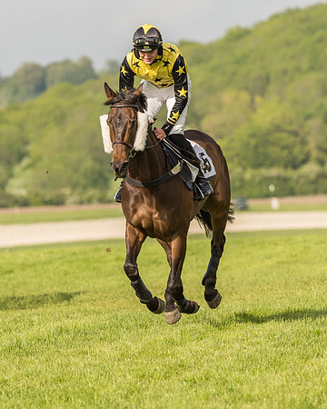 Race 6 - Open Maiden Race (65 of 180).jpg