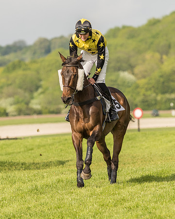 Race 6 - Open Maiden Race (66 of 180).jpg
