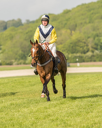 Race 6 - Open Maiden Race (68 of 180).jpg