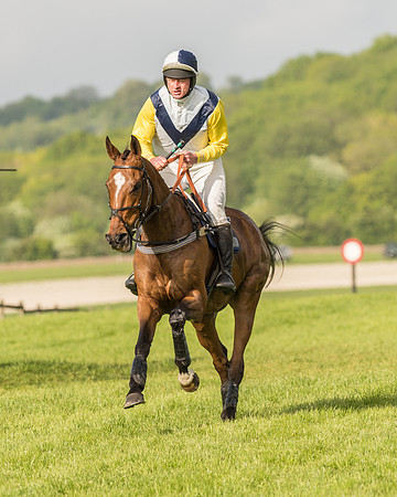 Race 6 - Open Maiden Race (69 of 180).jpg