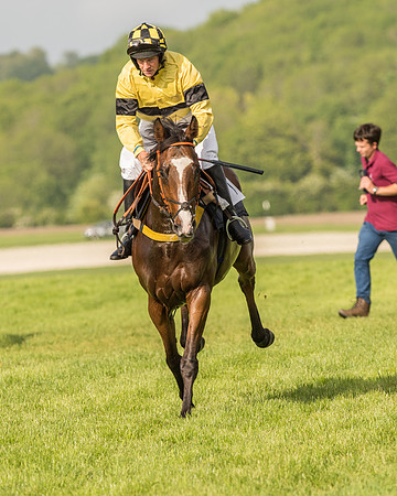 Race 6 - Open Maiden Race (71 of 180).jpg