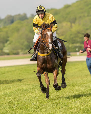 Race 6 - Open Maiden Race (72 of 180).jpg