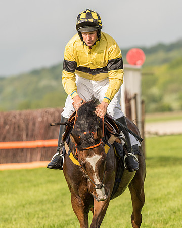 Race 6 - Open Maiden Race (73 of 180).jpg