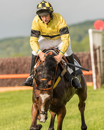 Race 6 - Open Maiden Race (74 of 180).jpg