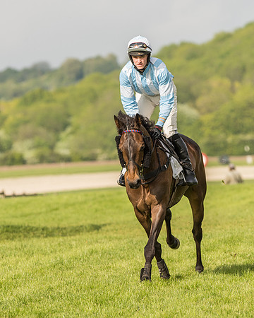 Race 6 - Open Maiden Race (75 of 180).jpg
