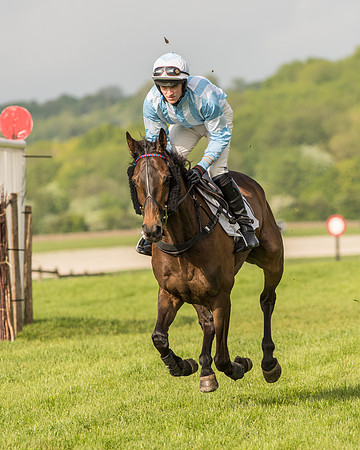 Race 6 - Open Maiden Race (76 of 180).jpg