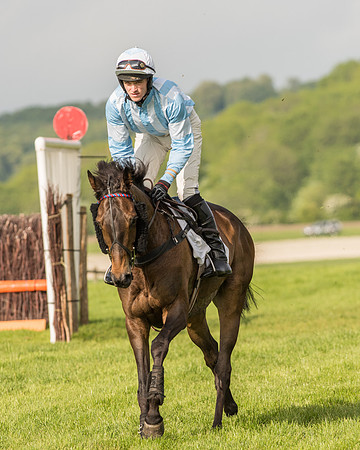 Race 6 - Open Maiden Race (77 of 180).jpg