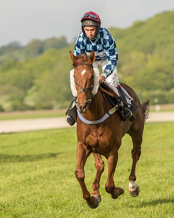 Race 6 - Open Maiden Race (78 of 180).jpg