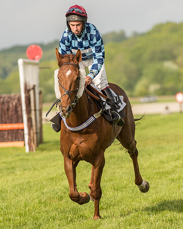 Race 6 - Open Maiden Race (80 of 180).jpg