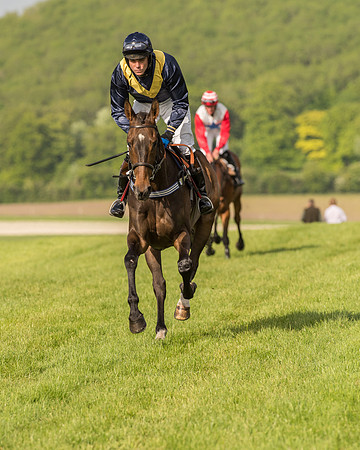 Race 6 - Open Maiden Race (81 of 180).jpg