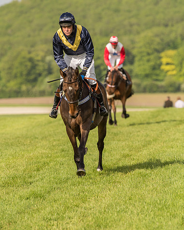 Race 6 - Open Maiden Race (82 of 180).jpg