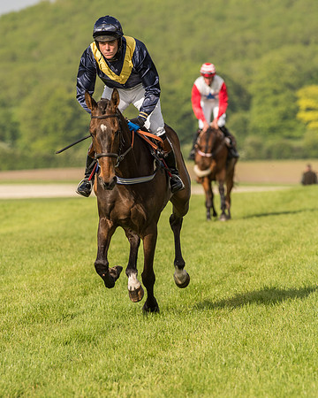 Race 6 - Open Maiden Race (83 of 180).jpg
