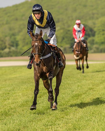 Race 6 - Open Maiden Race (84 of 180).jpg