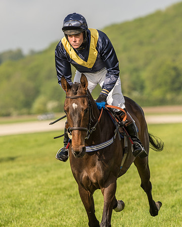 Race 6 - Open Maiden Race (85 of 180).jpg