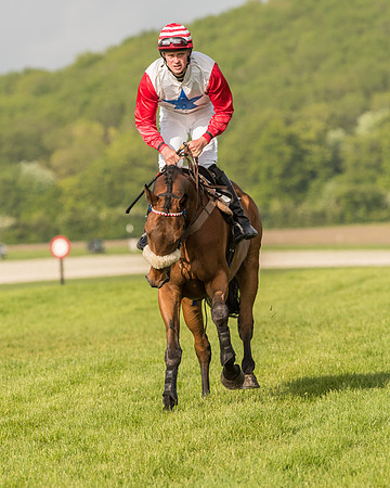 Race 6 - Open Maiden Race (86 of 180).jpg
