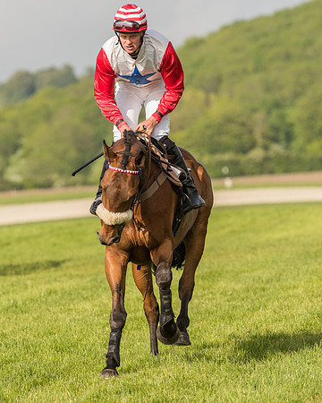 Race 6 - Open Maiden Race (87 of 180).jpg