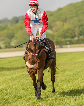 Race 6 - Open Maiden Race (88 of 180).jpg