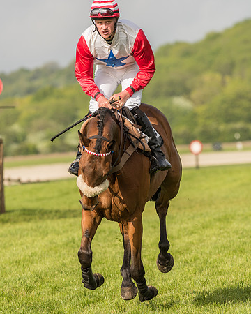 Race 6 - Open Maiden Race (89 of 180).jpg
