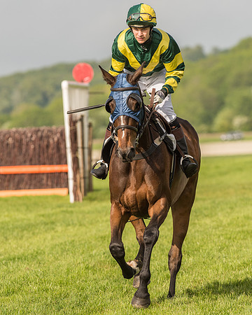 Race 6 - Open Maiden Race (90 of 180).jpg