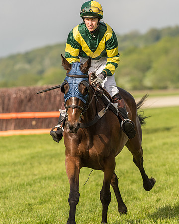 Race 6 - Open Maiden Race (91 of 180).jpg