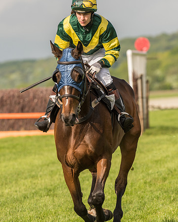 Race 6 - Open Maiden Race (92 of 180).jpg