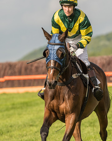 Race 6 - Open Maiden Race (93 of 180).jpg