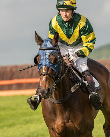 Race 6 - Open Maiden Race (94 of 180).jpg