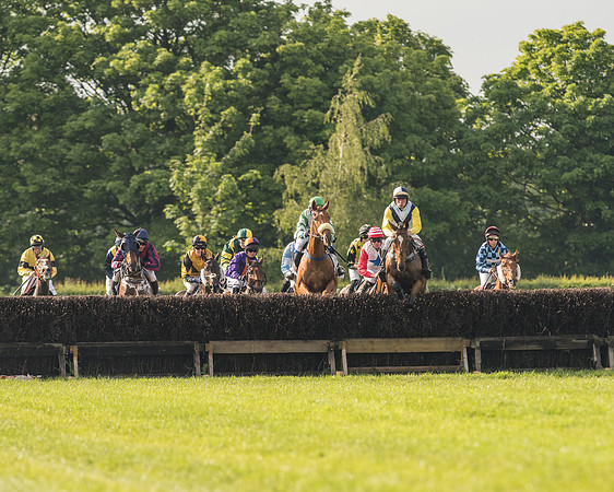 Race 6 - Open Maiden Race (95 of 180).jpg