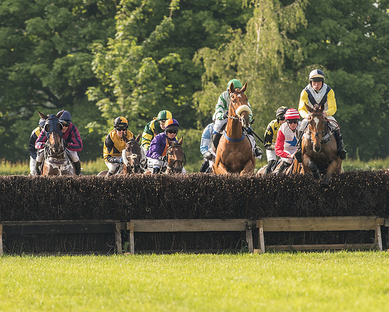 Race 6 - Open Maiden Race (95 of 180)-2.jpg