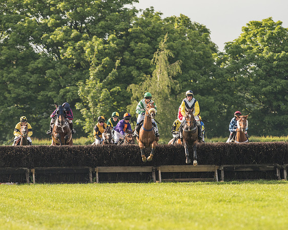 Race 6 - Open Maiden Race (96 of 180).jpg