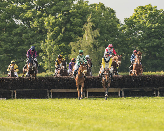 Race 6 - Open Maiden Race (97 of 180).jpg