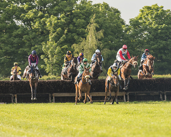 Race 6 - Open Maiden Race (98 of 180).jpg