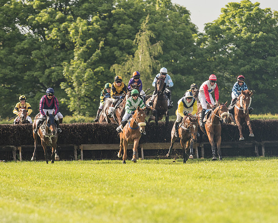 Race 6 - Open Maiden Race (99 of 180).jpg