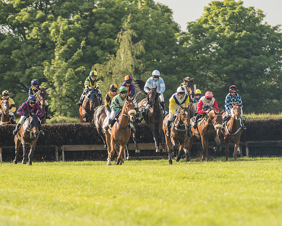 Race 6 - Open Maiden Race (100 of 180).jpg