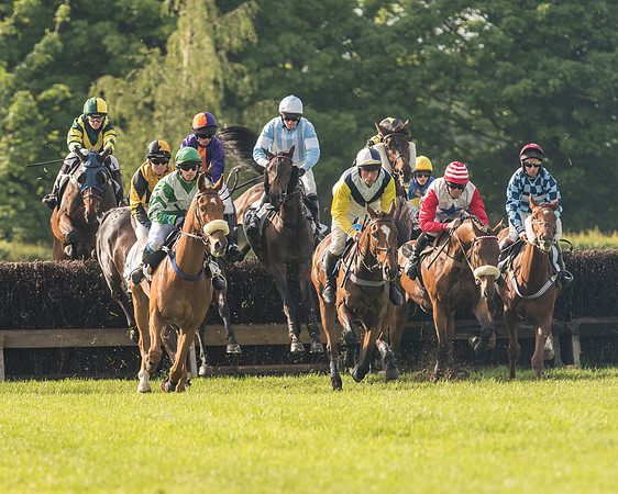 Race 6 - Open Maiden Race (100 of 180)-2.jpg
