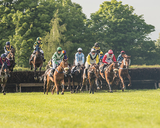 Race 6 - Open Maiden Race (101 of 180).jpg