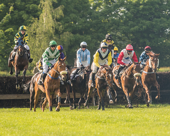 Race 6 - Open Maiden Race (101 of 180)-2.jpg