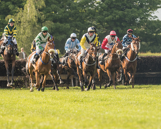 Race 6 - Open Maiden Race (102 of 180).jpg